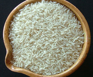 Sana Import & Export