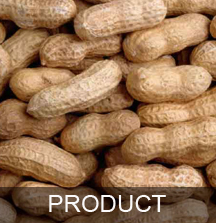 Sana Import & Export