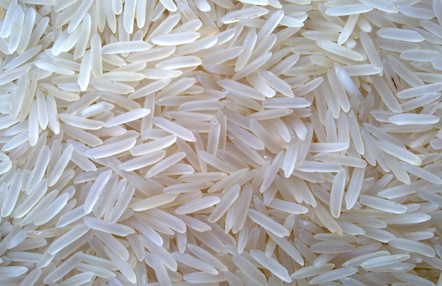 Sana Import & Export